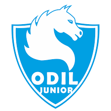 Odil Junior Carpi